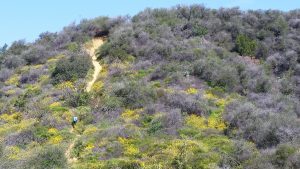 Los Angeles, California