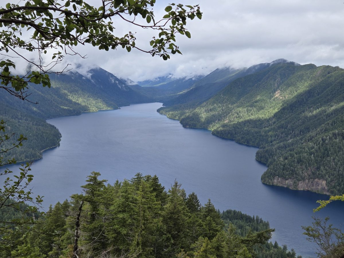Olympic National Park, WA