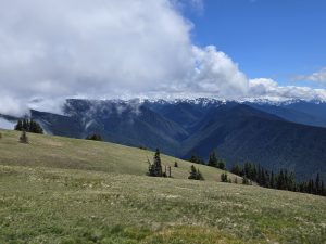 Olympic National Park, WA