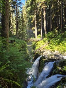Olympic National Park, WA