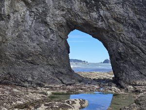 Olympic National Park, WA