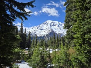 Mt Rainier National Park