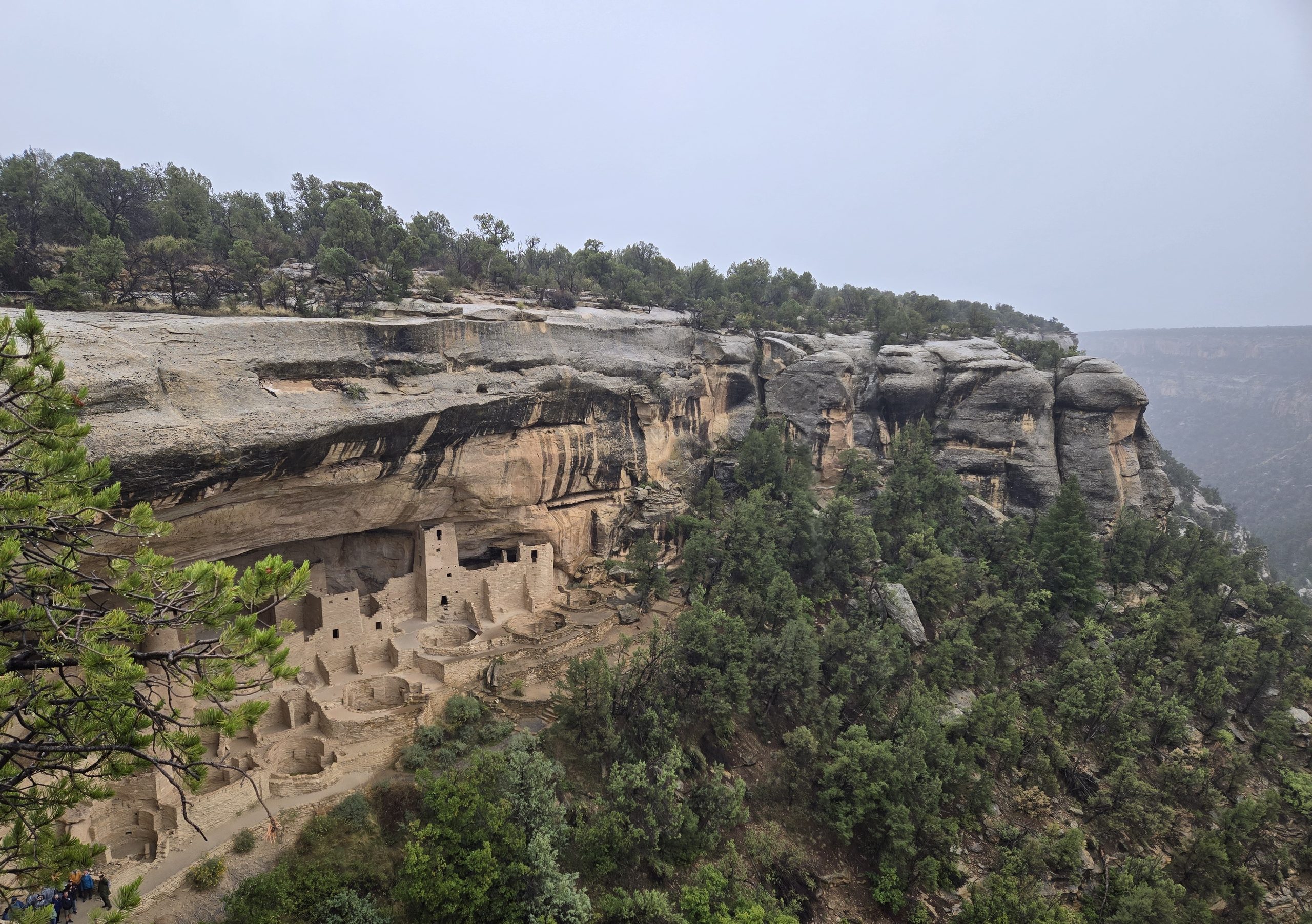 The Colorado Plateau: Mesa Verde